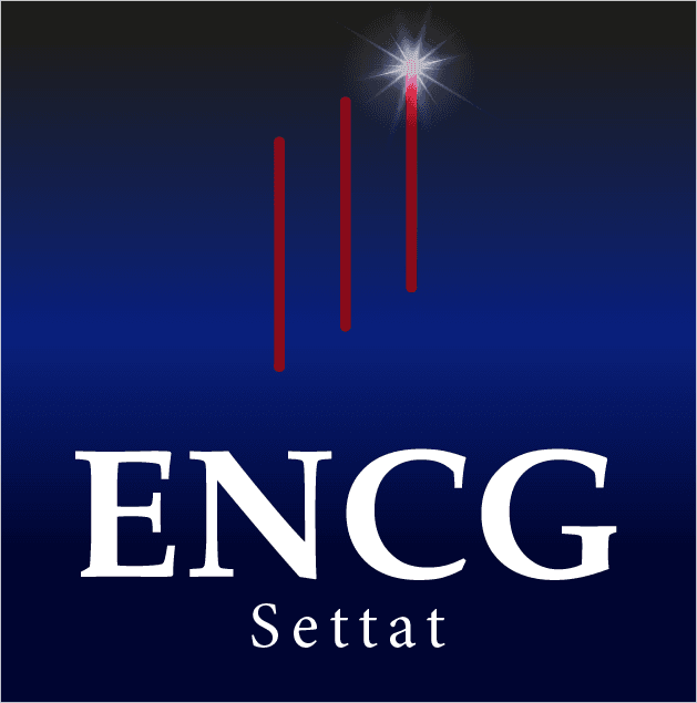 École Nationale de Commerce et de Gestion de Settat logo
